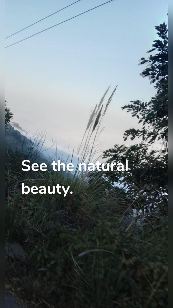 See the natural beauty.