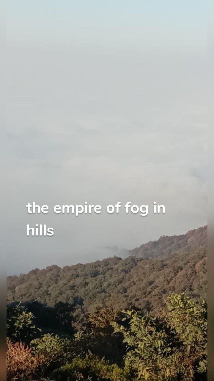 the empire of fog in hills