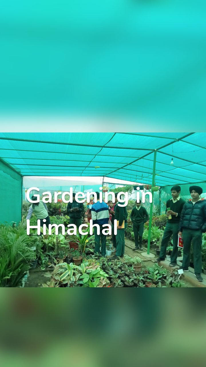 Gardening in Himachal